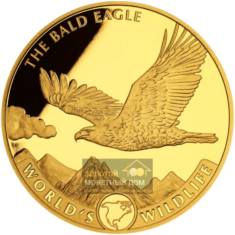 Комиссия: Золотая монета Конго "Лысый орел" 2021 г.в., 31,1 г чистого золота (проба 0,9999)