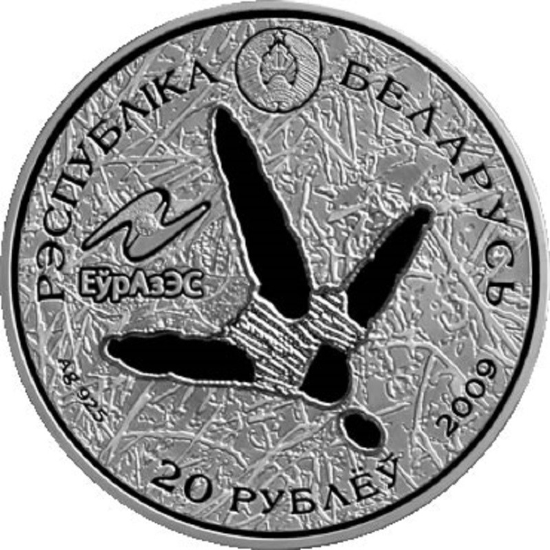 Серебряная монета Беларуси "Белый аист" 2009 г.в., 31.1 г чистого серебра (Проба 0,925)