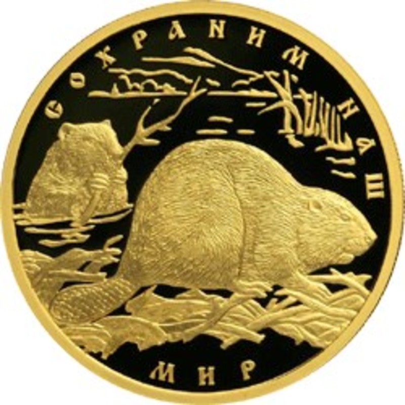 Золотая монета "Речной Бобр", 2008 г.в., 15,55 г чистого золота (проба 0,900)